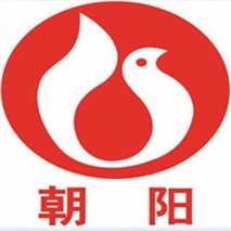朝陽泵業(yè)QZ軸流、QH混流潛水電泵